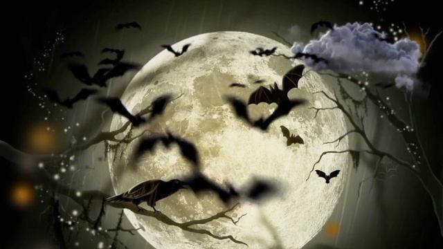 sound bats fly for halloween 1h asmr || летучие-мышки летят на хеллоуин 1ч.