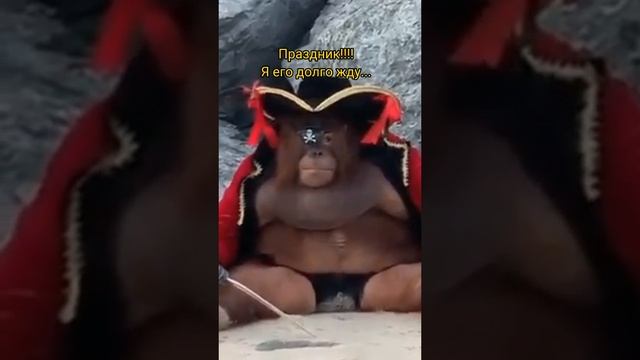 Когда душе нужен праздник