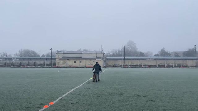 Малинуа Фокс. Движение рядом.