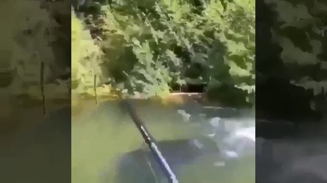 рыбалка