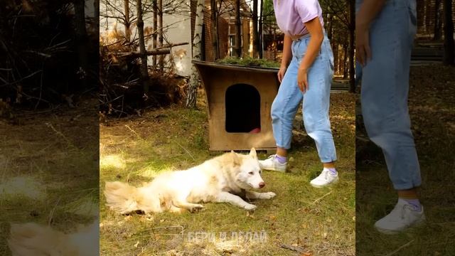 25 НЕВЕРОЯТНЫХ DIY ДЛЯ ДВОРА И САДА