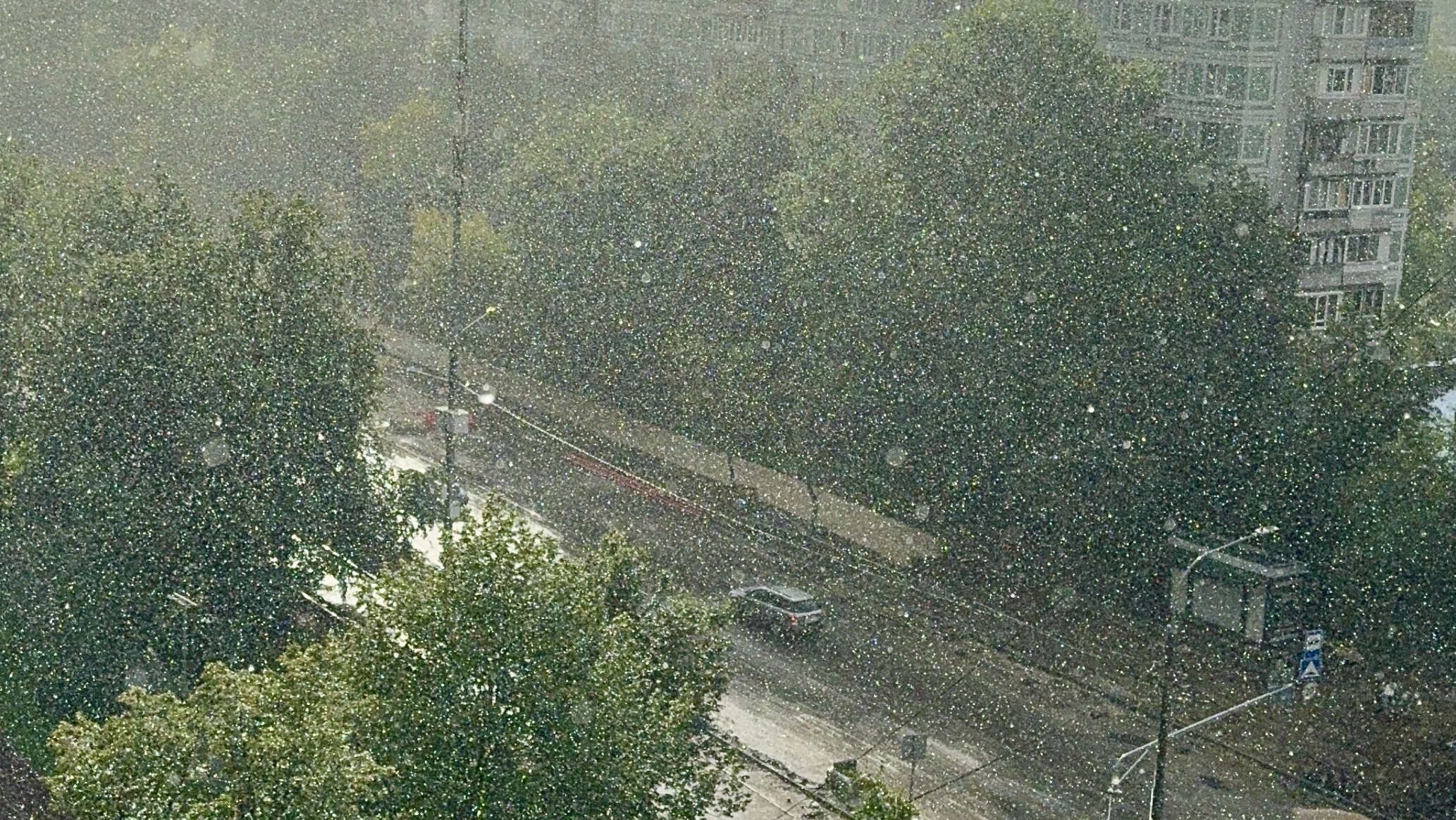 01-08-2024 дождь в Москве