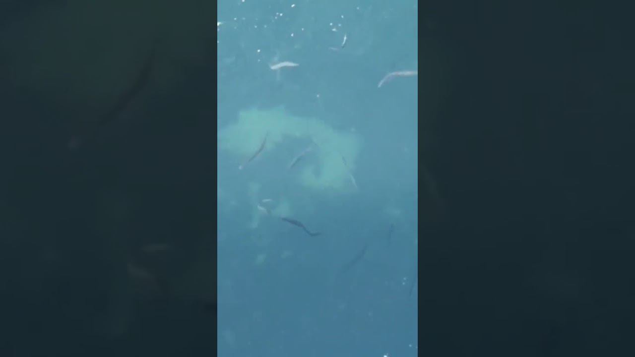 Северное море со своими причудами #север#моое