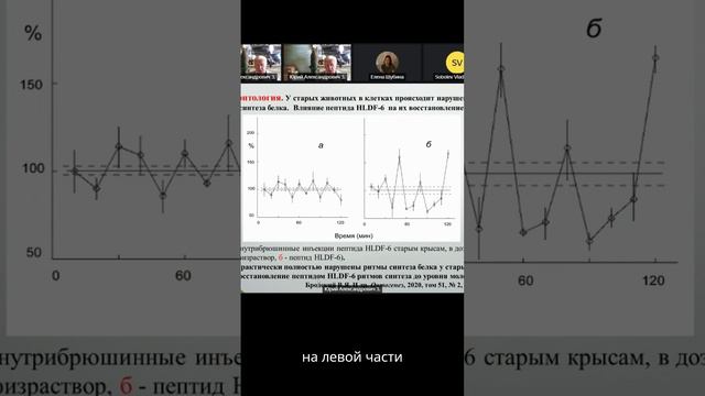 Пептид HLDF-6-H - панацея  в мире антивозрастных препаратов