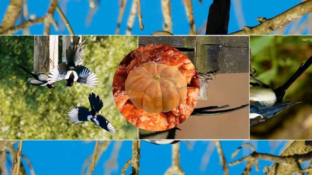 1 Ноября - проводы осени, или Иванов день