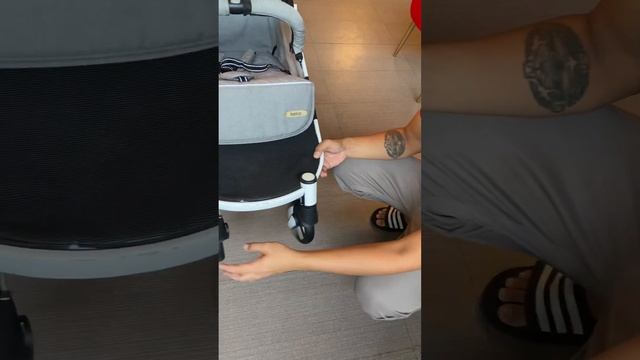 Looping Squizz Stroller