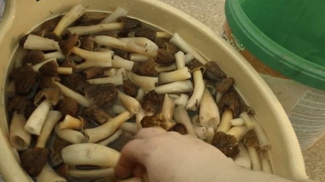 Дела садовые