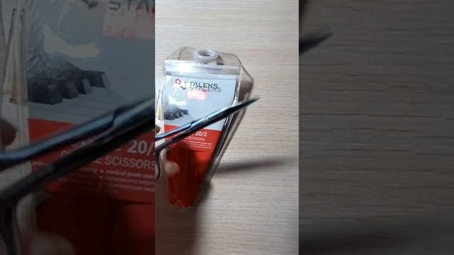 video_2023-09-23_20-06-44