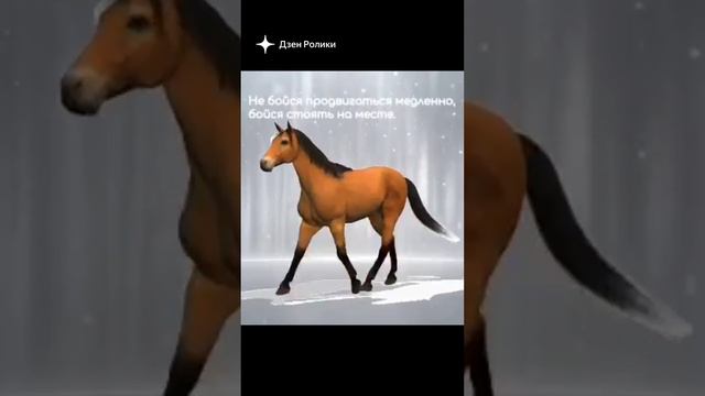 🐴