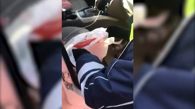 В Татарстане задержан наркокурьер прикрывший свой криминальный вояж поездкой с отцом в Подмосковье