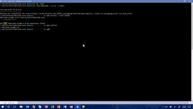 Visual Studio 2017 Launch npm and continuous delivery in Package Management
