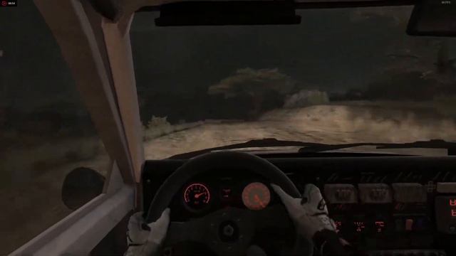 Peugeot 205 T16 - Dirt 3 Complete Edition
