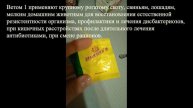 АЛЛЕРГИЯ НА КОРМ У КРЫСЫ. КАК БЫТЬ? ДИАРЕЯ У КРЫСЫ.