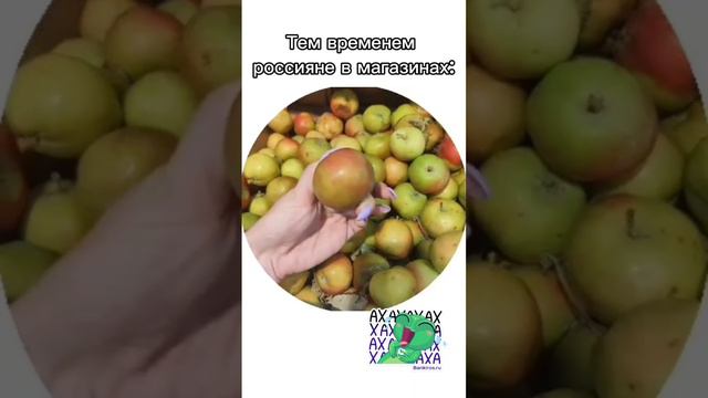Что происходит с яблоками в магазинах? Видео от Банкирос

#магазин #яблоки #покупатели