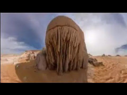 Кремниевая форма жизни  Гигантские болотные кувшинки