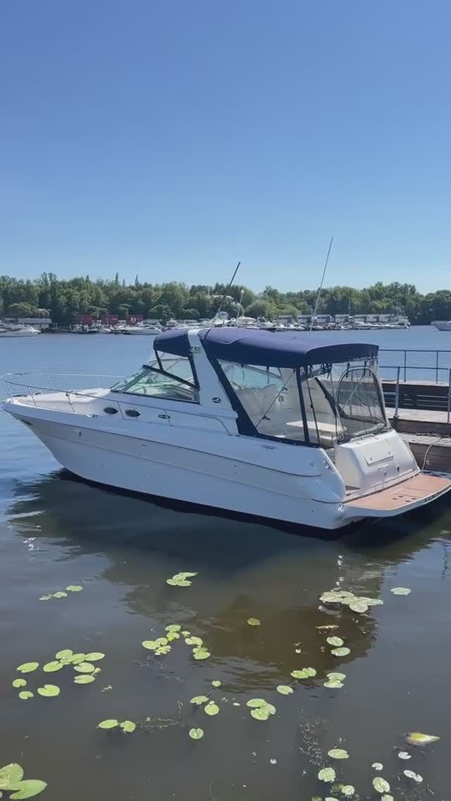 Продажа яхты Sea Ray 310 Sundancer | 2001г