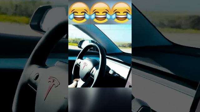 тесла кот