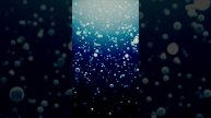 Мои стихи | Море #моистихи #поэзия