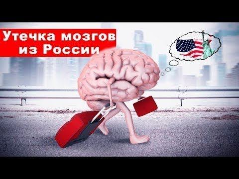 Как организуют 