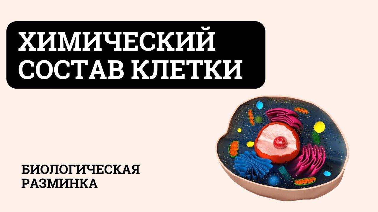 Химический состав клетки