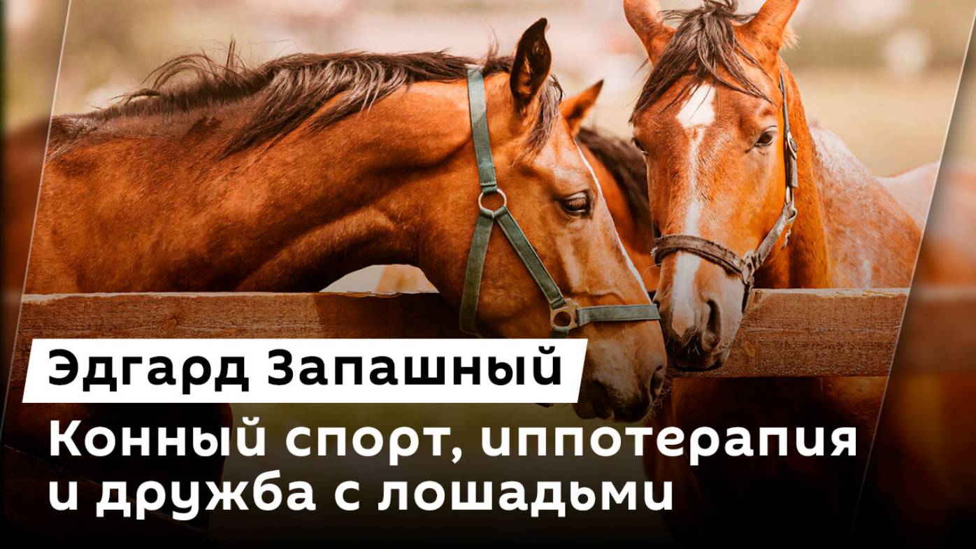Эдгард Запашный. Конный спорт, иппотерапия и дружба с лошадьми