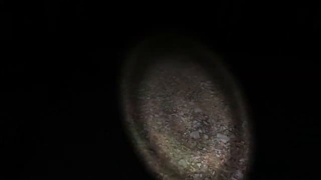 Байки интернета №2 "SLENDER"