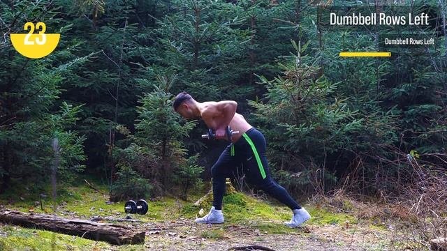 15 Minute Dumbbell Biceps  Back Routine Follow Along