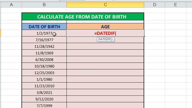 ?Excel Age Calculator: How to Calculate Age from Date of Birth ☝️