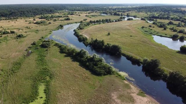 деревня Макаричи. Красногорский район