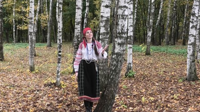 Моя Россия, мой край родной Тульская область.mp4