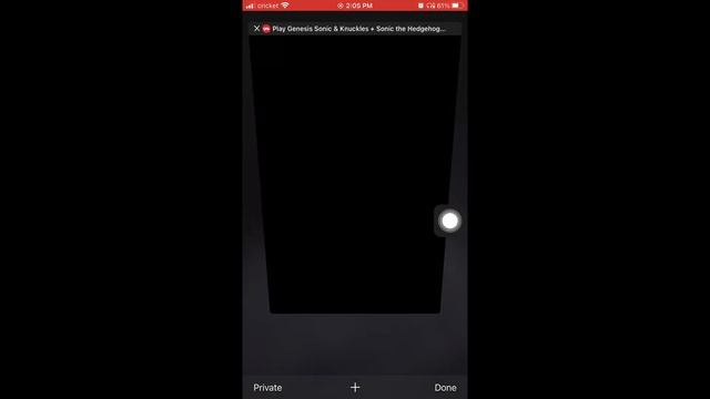 Playing Sega Genesis Games On IPhone