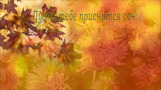#Маленькиеоткрытки#Доброго вечера День закончился давно...