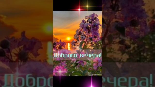 Чудесного вам вечера 💙💜