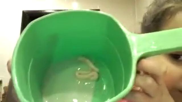 Рецепт лизуна из зубной пасты и геля для душа