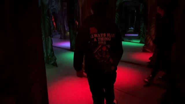 Волшебство стамбульского аквариума: акулы, пираньи и пингвины.