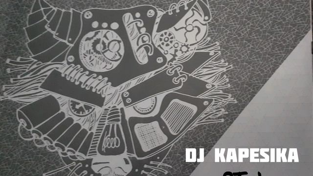 DJ kapesika