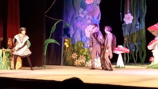 Муха-цокотуха