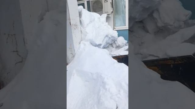 мксм 800