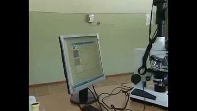 Искусственное осеменение