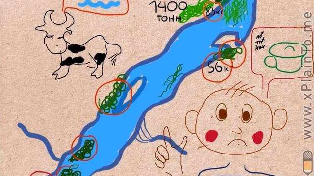 Как не кормить спирогиру