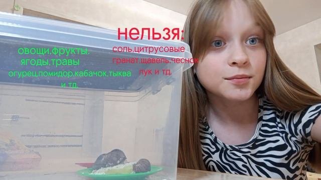 ?? МОИ АХАТИНЫ ИММАКУЛЯТА ПАНТЕРА??ЧТО МОЖНО И ЧТО НЕЛЬЗЯ КУШАТЬ УЛИТКАМ??КАЛЬЦИИ ДЛЯ УЛИТОК??
