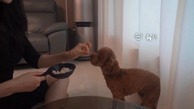 eng)그릇구경하고 연어국수. 엽떡마라떡볶이 직접 만들기. 스팸무스비 유부초밥 싸서 등산가기.꽃클래스. 불닭볶음면야끼소바. 킹새우계란볶음밥. 야간라운딩 가는 vlog
