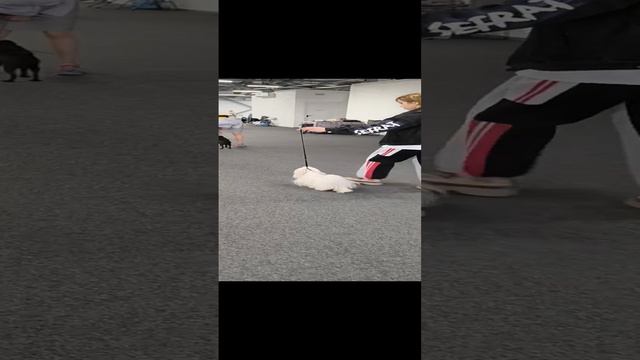 1000007463.mp4