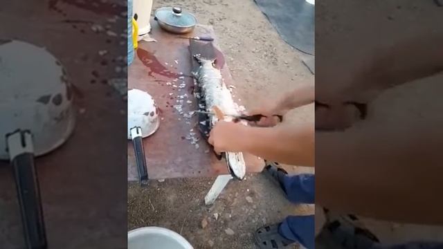 Чистка щуки, быстро, очень быстро!