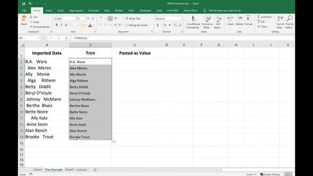 Quick way to remove extra (unwanted) spaces from text in Excel - TRIM function