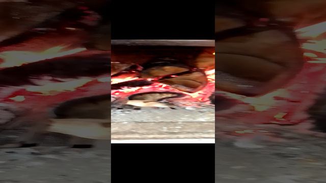 VID_20240330_115410.mp4