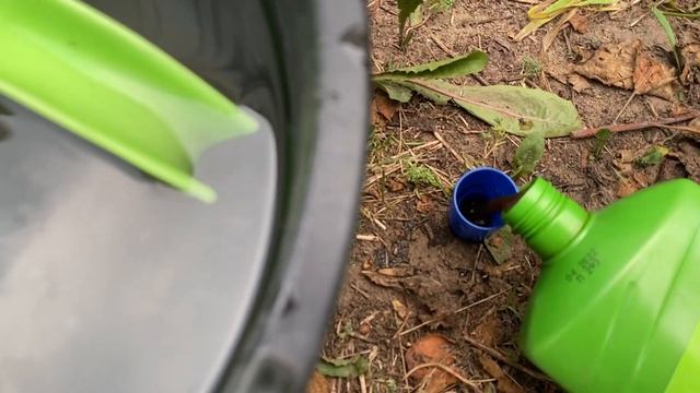 Ежевика?. Чем подкормить? Как увеличить сахаристость ягод?