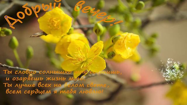 Незабываемого  вечера    Юлия  Ватраль     Обними