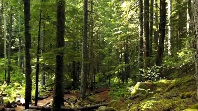 Гарри Поттер и Узник Азкабана