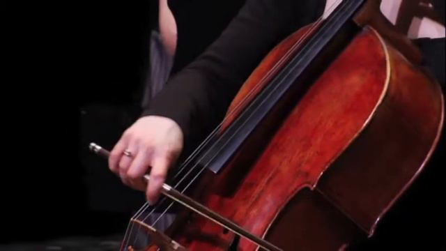 Schubert Piano Trio in B-flat Major, D.898 fourth movement